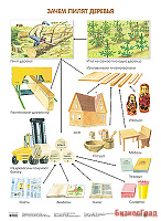 Плакат. Зачем пилят деревья