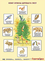 Плакат. Кому нужны деревья в лесу